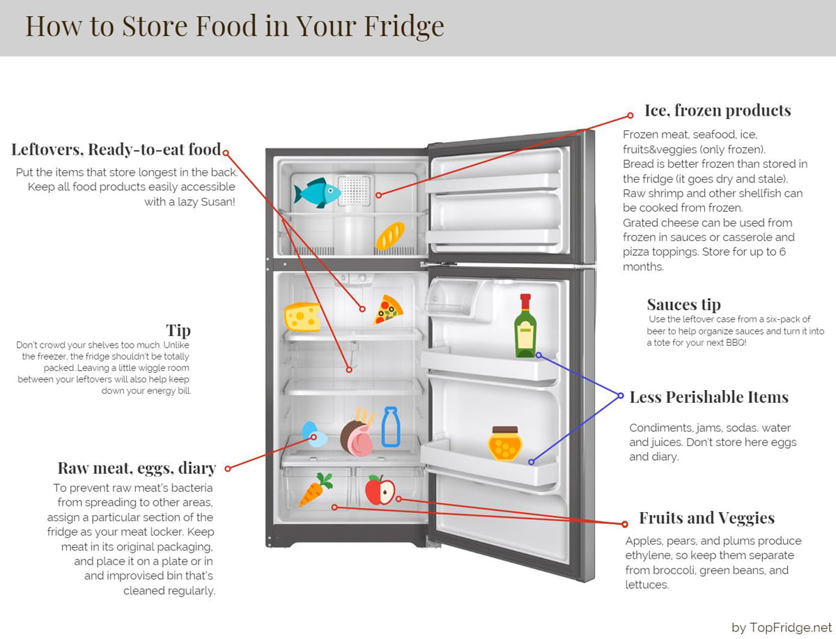 how to store food in the refrigerator