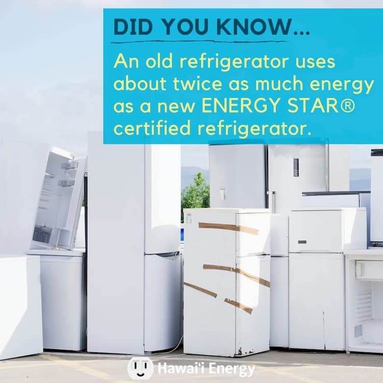 Refrigerator Energy Efficiency