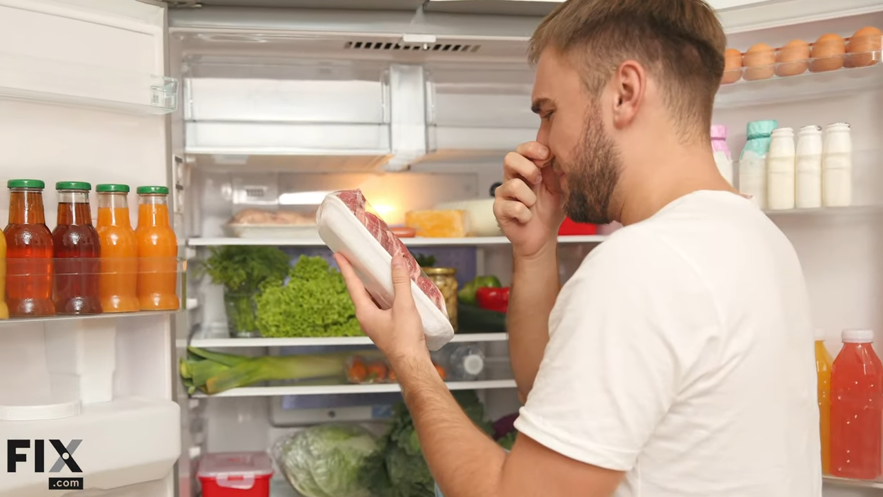 Best Refrigerator Odor Eliminators